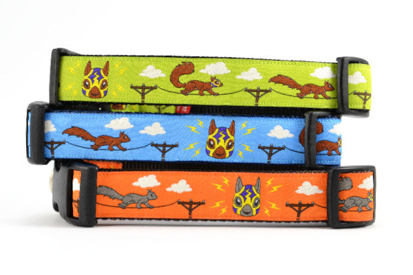 Lucha Squirrels - Sparky - Dog Collars