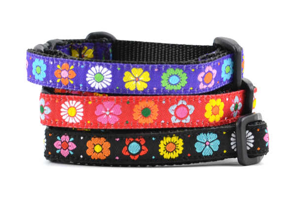 Daisy cat collar best sale