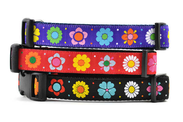 Daisy Chain Dog Collars
