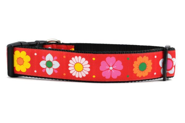 Daisy Chain Dog Collars