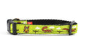 Lucha Squirrels - Sparky - Dog Collars