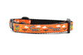 Lucha Squirrels - Sparky - Dog Collars