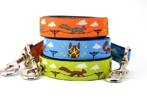 Lucha Squirrels - Sparky - Dog Leashes