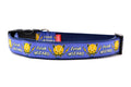 Large light purple dog collar with the words Fetch Wizard and a tennis ball icon with lightening bolts.