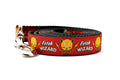 Large red dog leash - with words Fetch Wizard - and tennis ball icon with lightening bolts.