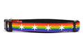Large dog collar with Rainbow Flag Stripes and white six pointed stars around the collar.