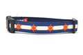 Medium dog collar has two outer dark blue stripes and one central off-white stripe and orange six point stars around the collar. 