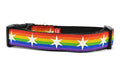 Medium dog collar with Rainbow Flag Stripes and white six pointed stars around the collar.