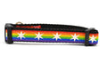 Small dog collar with Rainbow Flag Stripes and white six pointed stars around the collar.