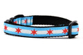 Cat collar with two light blue stripes and one white stripe and red six pointed stars - representing the Chicago Flag.