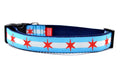 Large dog collar with two light blue stripes and one white stripe and red six pointed stars - representing the Chicago Flag.