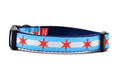 Small dog collar with two light blue stripes and one white stripe and red six pointed stars - representing the Chicago Flag.