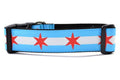 Wide large dog collar with two light blue stripes and one white stripe and red six pointed stars - representing the Chicago Flag.