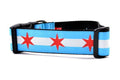 Medium large dog collar with two light blue stripes and one white stripe and red six pointed stars - representing the Chicago Flag.