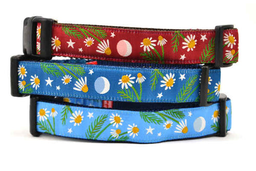 Stack of three dog collars - one light blue, one dark teal, and one burgundy.  Each collar as the same design which depicts chamomile flowers, stars, and a half moon.
