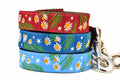 Stack of three dog leashes - one light blue, one dark teal, and one burgundy.  Each collar as the same design which depicts chamomile flowers, stars, and a half moon.