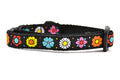 One black cat collars with daisy chain pattern and colorful daisy flowers.
