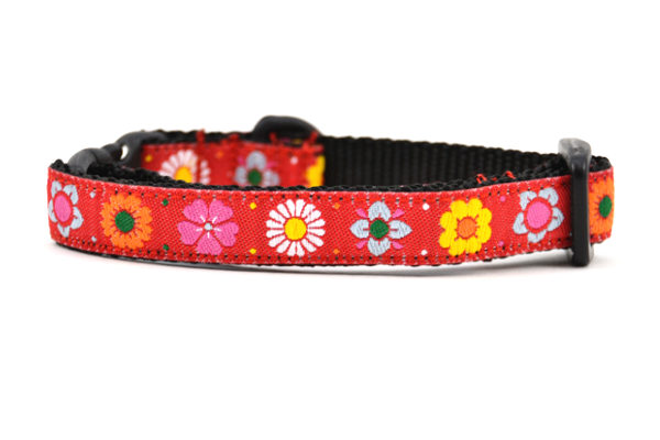 One red cat collars with daisy chain pattern and colorful daisy flowers.