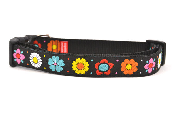 Large black dog collar with daisy chain pattern and colorful daisy flowers.