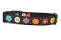 Medium black dog collar with daisy chain pattern and colorful daisy flowers.