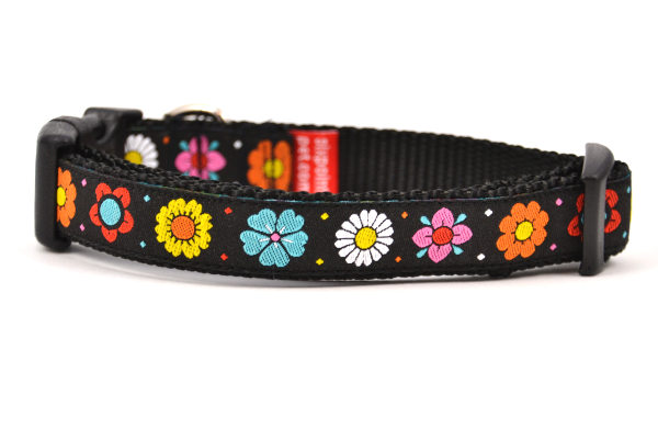 Small black dog collar with daisy chain pattern and colorful daisy flowers.