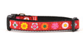 Small red dog collar with daisy chain pattern and colorful daisy flowers.