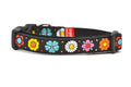 XS black dog collar with daisy chain pattern and colorful daisy flowers.