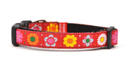 XS red dog collar with daisy chain pattern and colorful daisy flowers.