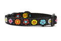 XXS black dog collar with daisy chain pattern and colorful daisy flowers.