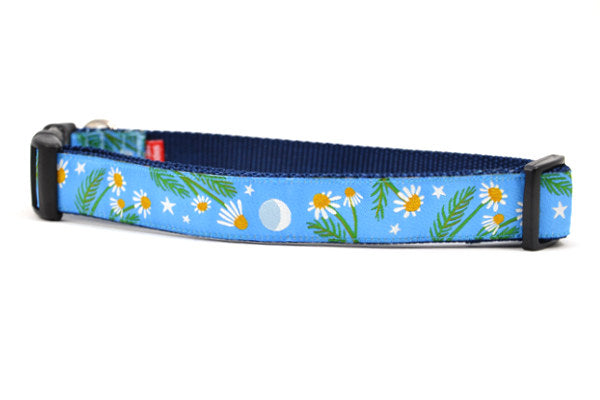 Large light blue dog collar with chamomile flowers, stars, and half moon design.
