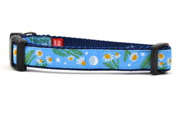 Light blue dog collars best sale