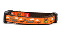 Small orange dog collar - design includes squirrels running on telephone wires and squirrel in lucha libre mask.  The mask is purple and yellow with electrical sparks coming from the mask.