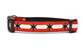 Medium dog collar has two outer red stripes and one central off-white stripe and black six point stars around the collar. 