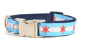 Medium dog collar with metal clasp - dog collar has two light blue stripes and one white stripe and red six pointed stars - representing the Chicago Flag.