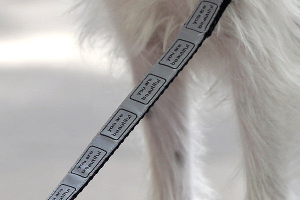 Picture of silver dog leash with the words you are beautiful in black.
