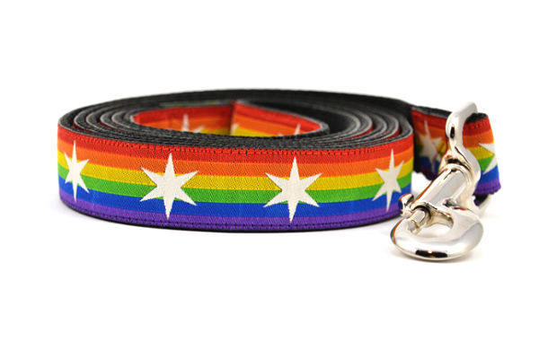 Large dog leash with Rainbow Flag Stripes and white six pointed stars around the collar.