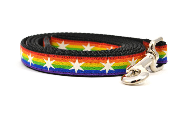 Small dog leash with Rainbow Flag Stripes and white six pointed stars around the collar.