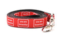  Large Dog leash that is red with the words you are beautiful in white.