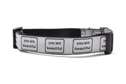 Medium dog collar that is silver with the words you are beautiful in black. 