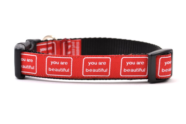 you are beautiful Dog Collars Small 10 16 x 3 4 Red