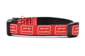 Small dog collar that is red with the words you are beautiful in white. 