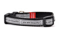XS dog collar that is silver with the words you are beautiful in black. 
