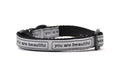 XXS dog collar that is silver with the words you are beautiful in black. 