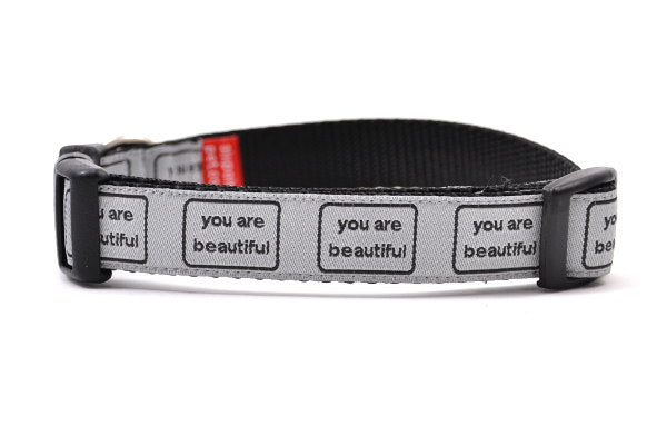 Small dog collar that is silver with the words you are beautiful in black. 